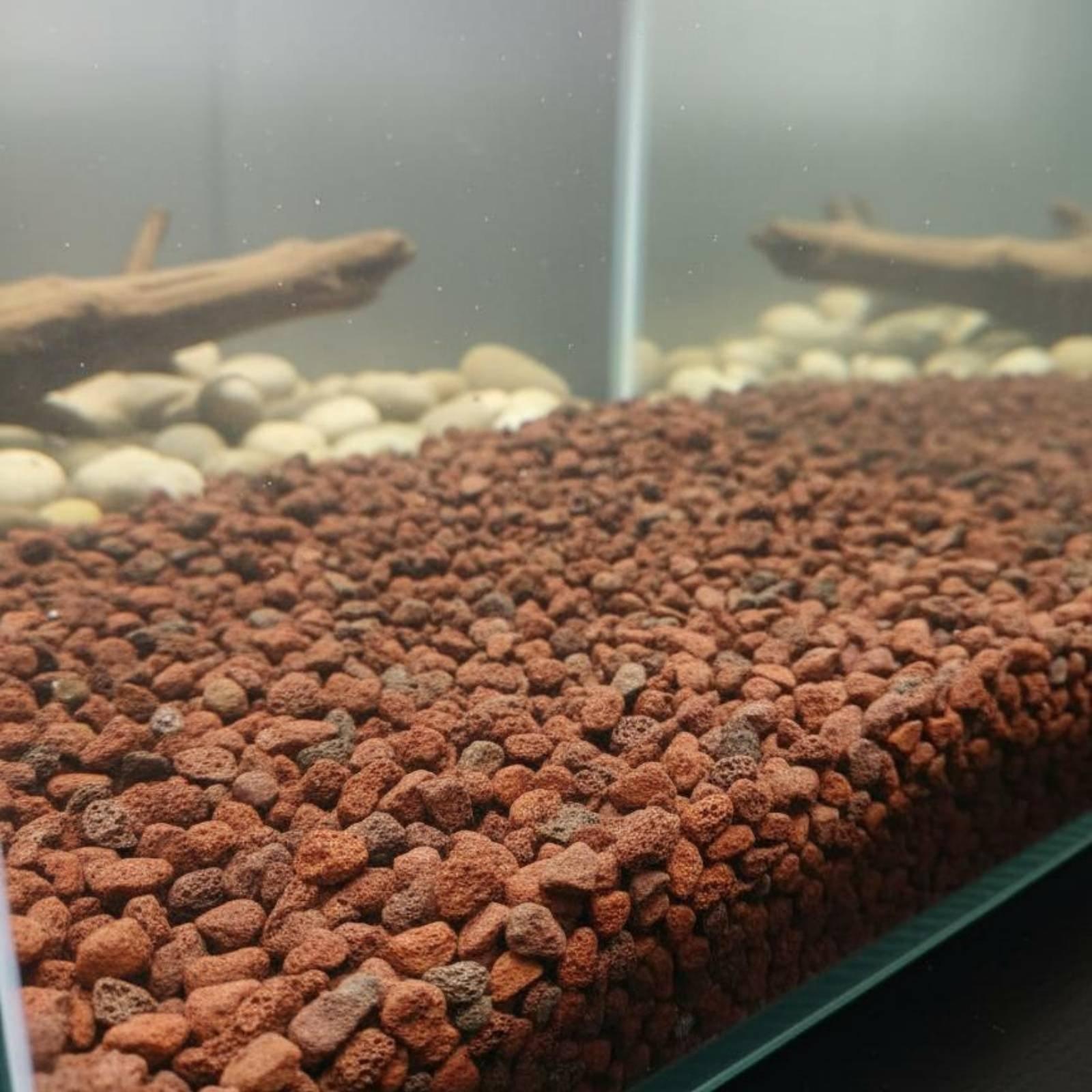 Planted Aquarium With Rocks - Pietra Lavica per Acquario, Pietra Vulcanica
