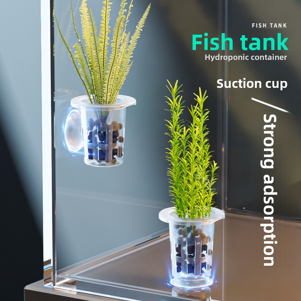 Planted Aquarium Supplies - 10 Pezzi Vasi Idroponici Trasparenti in