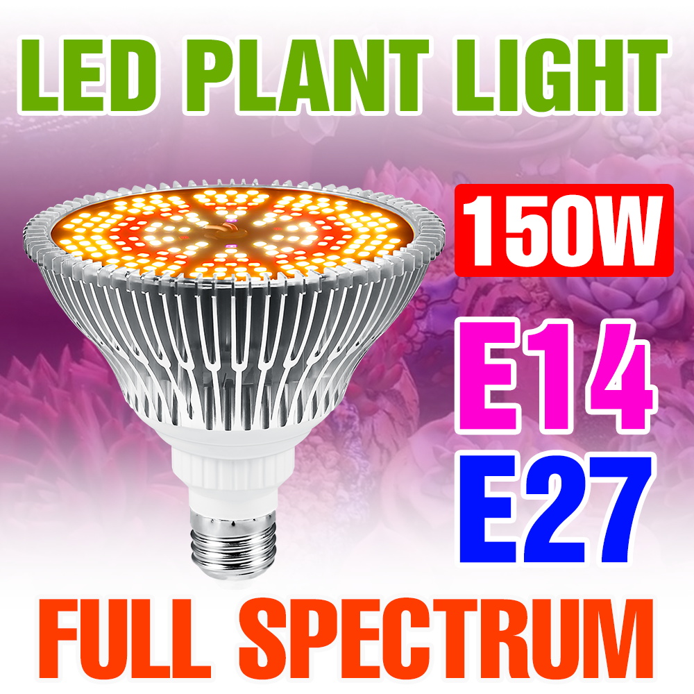 Aquarium Plant Root Tabs - 150W LED E27/E26 Coltiva La Lampadina