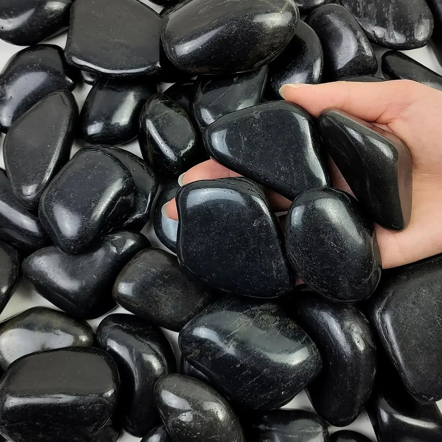 Planted Aquarium With Rocks - 40 libbre di rocce nere per