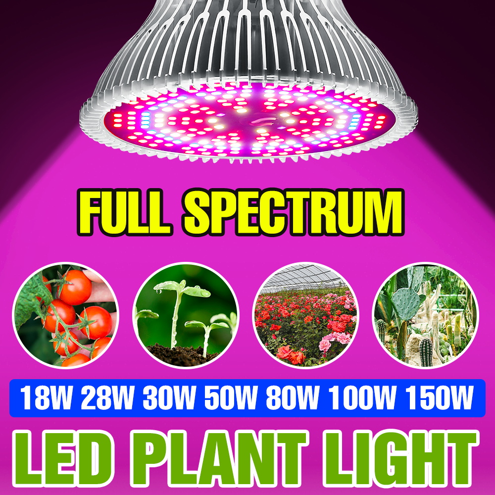 Aquarium Plant Root Tabs - Lampadina LED E27 150W a Spettro