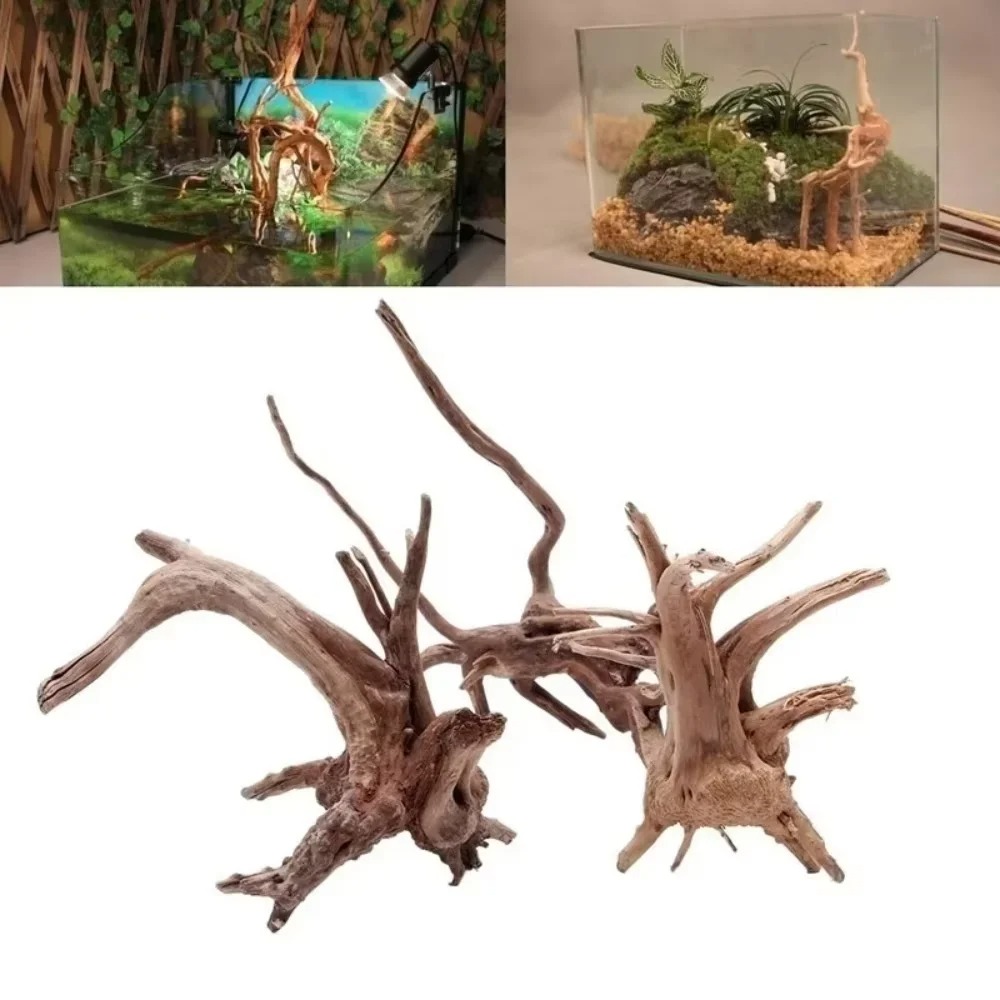Aquarium Planted Wood - (15-20 cm) Decorazione per Acquario in