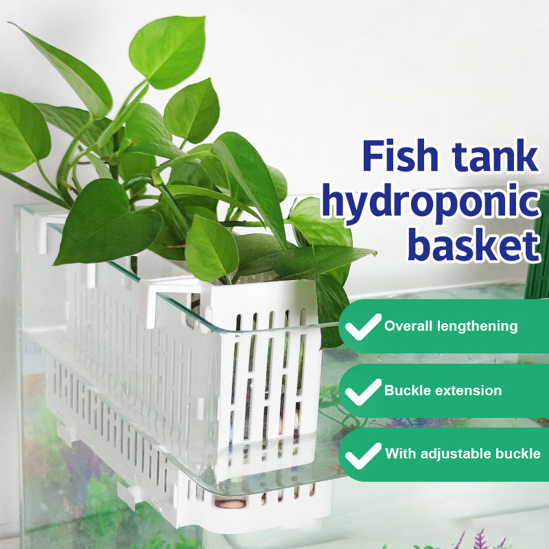 Planted Aquarium Supplies - 【F】Porta-piante sospeso per acquario, cestino idroponico