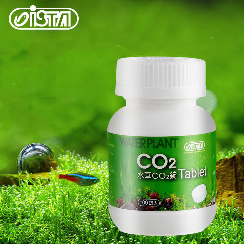 ISTA Fish Tank Aquarium CO2 Ta - Planted Aquarium Without Fish recensione e prezzo