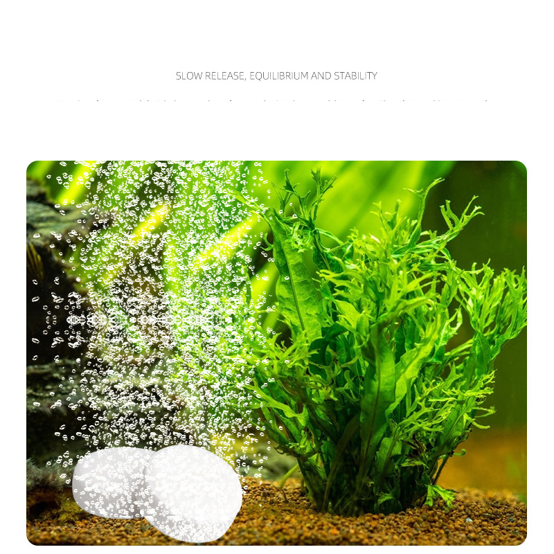 ISTA Fish Tank Aquarium CO2 Ta - Planted Aquarium Without Fish recensione e prezzo