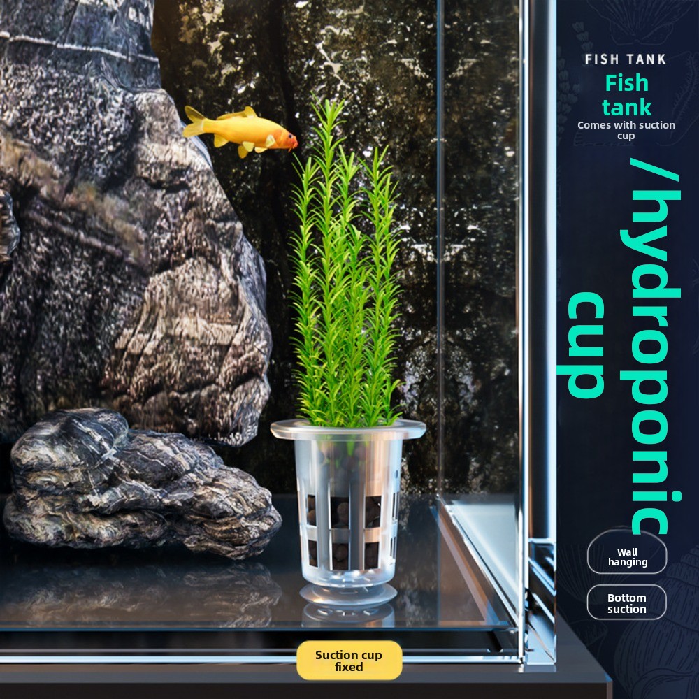10 Pezzi Vasi Idroponici Trasp - Planted Aquarium Supplies recensione e prezzo