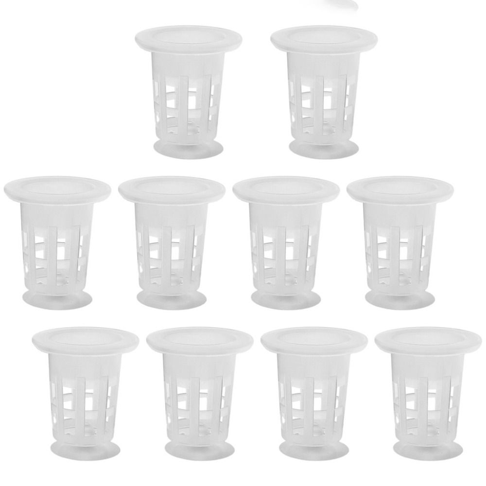 10 Pezzi Vasi Idroponici Trasp - Planted Aquarium Supplies recensione e prezzo