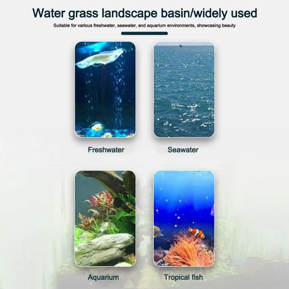 10 Pezzi Vasi Idroponici Trasp - Planted Aquarium Supplies recensione e prezzo