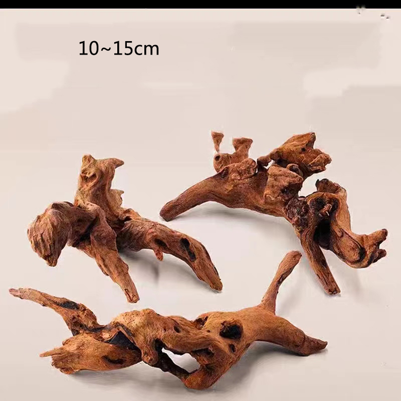 Decorazione per acquario con t - Aquarium Plant Root Tabs recensione e prezzo