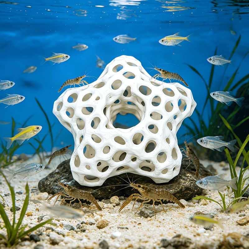Decorazione per Acquario a For - Planted Aquarium Without Fish recensione e prezzo