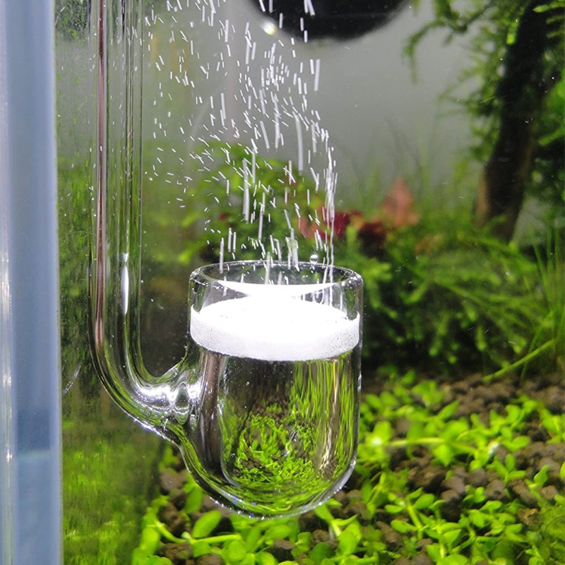 D0AD Diffusore CO2 in vetro pe - Planted Aquarium Supplies recensione e prezzo