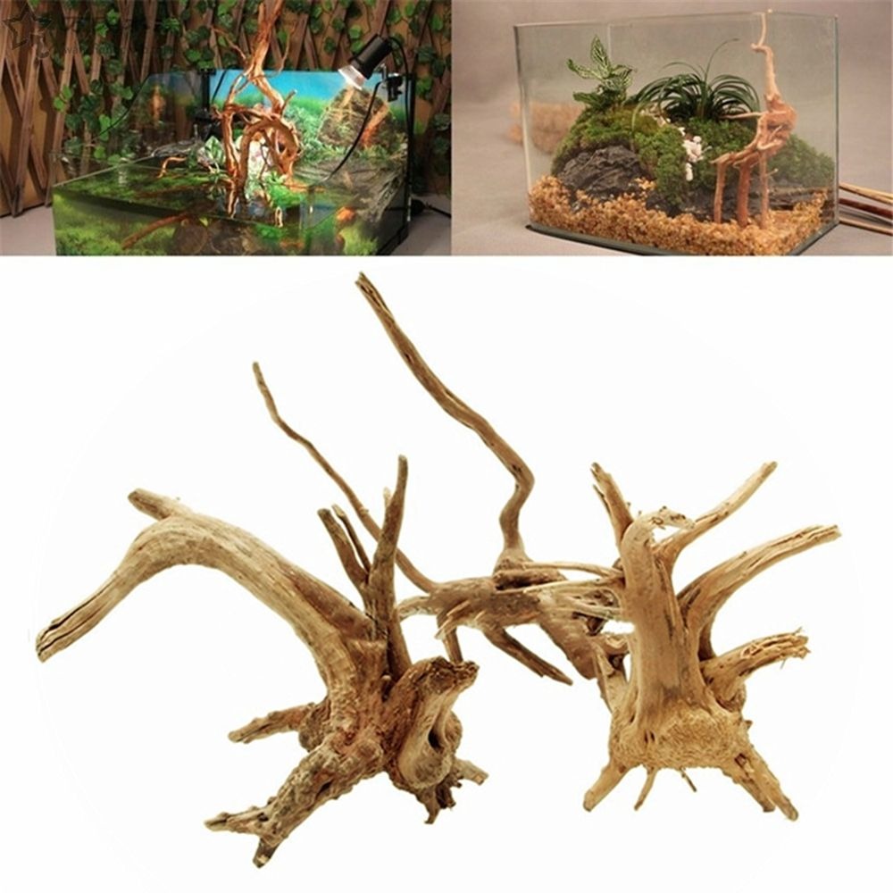 Nuove decorazioni per acquario - Aquarium Plant Root Tabs recensione e prezzo