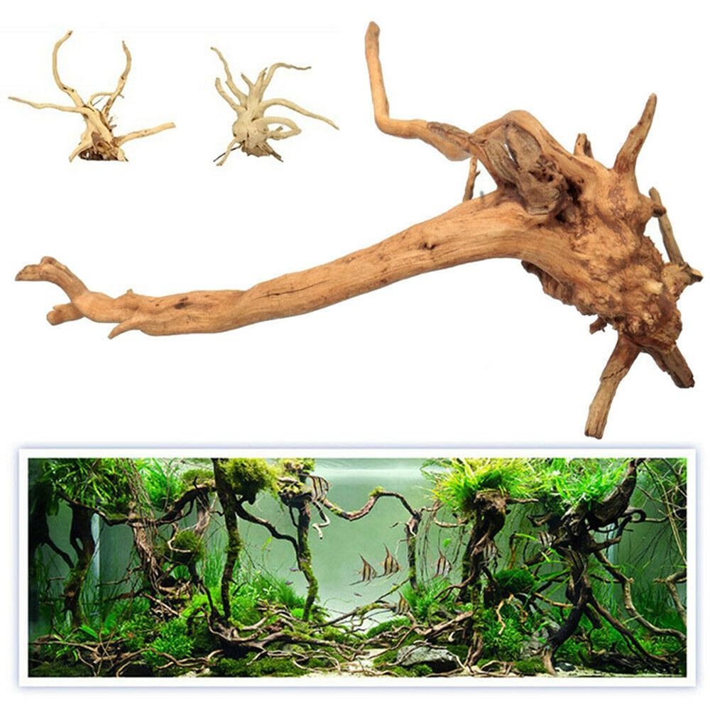 Nuove decorazioni per acquario - Aquarium Plant Root Tabs recensione e prezzo