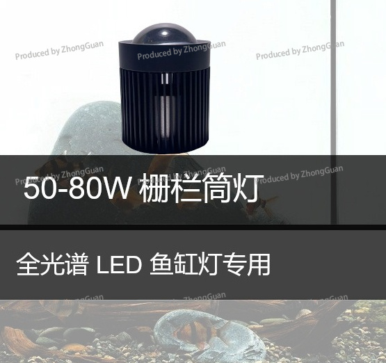 Faretto LED per Piante di Musc - Aquarium Planted Wood recensione e prezzo