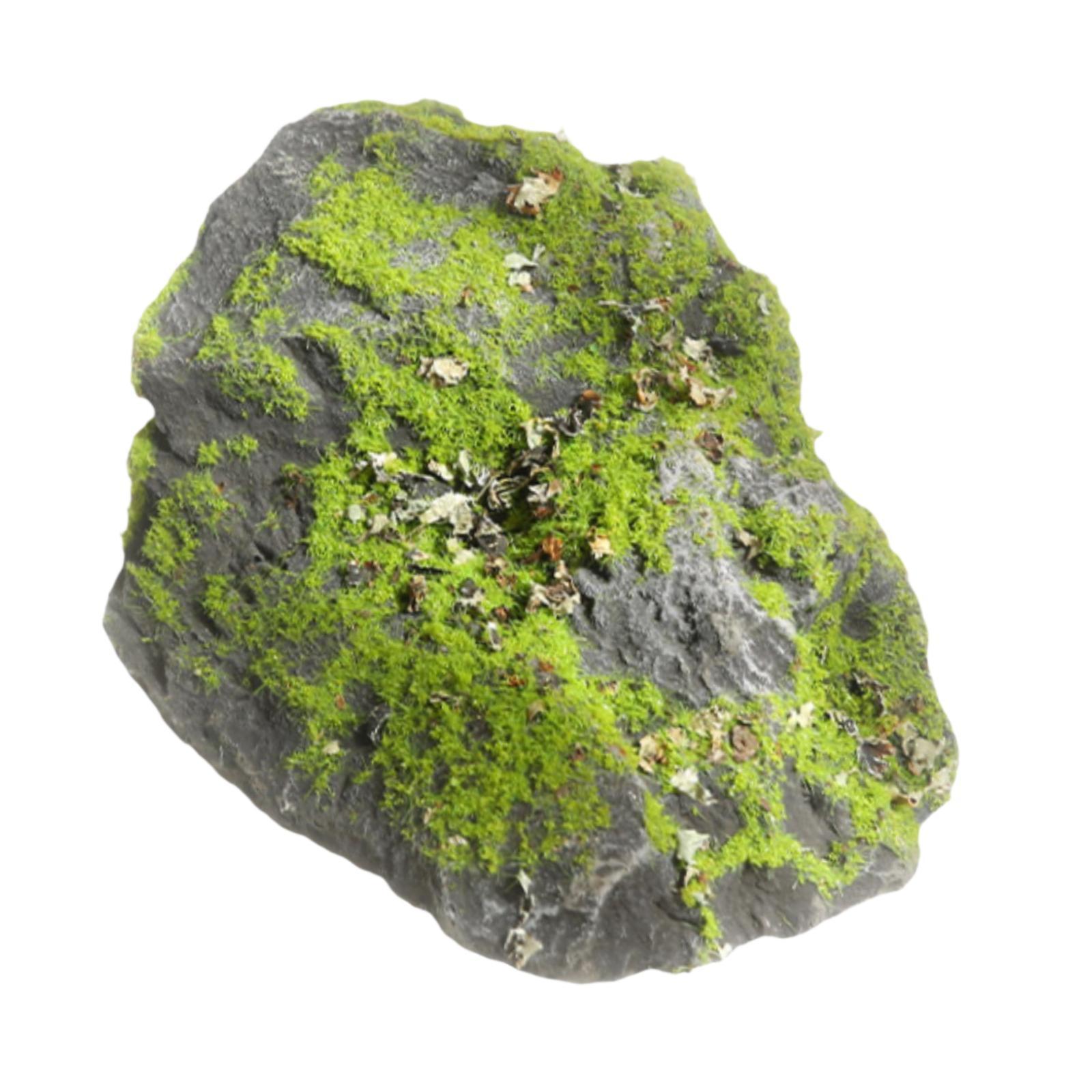Pietra di Muschio Finta Realis - Planted Aquarium With Rocks recensione e prezzo