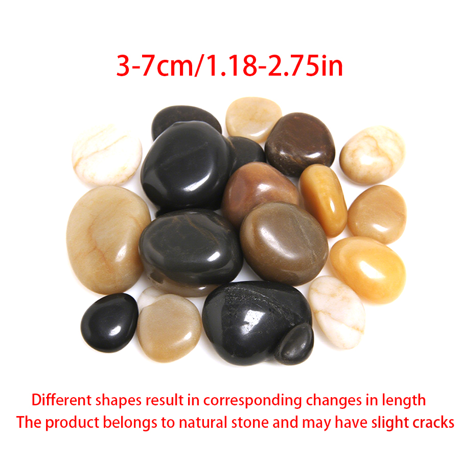 300-700g di Ciottoli di Fiume  - Planted Aquarium With Rocks recensione e prezzo