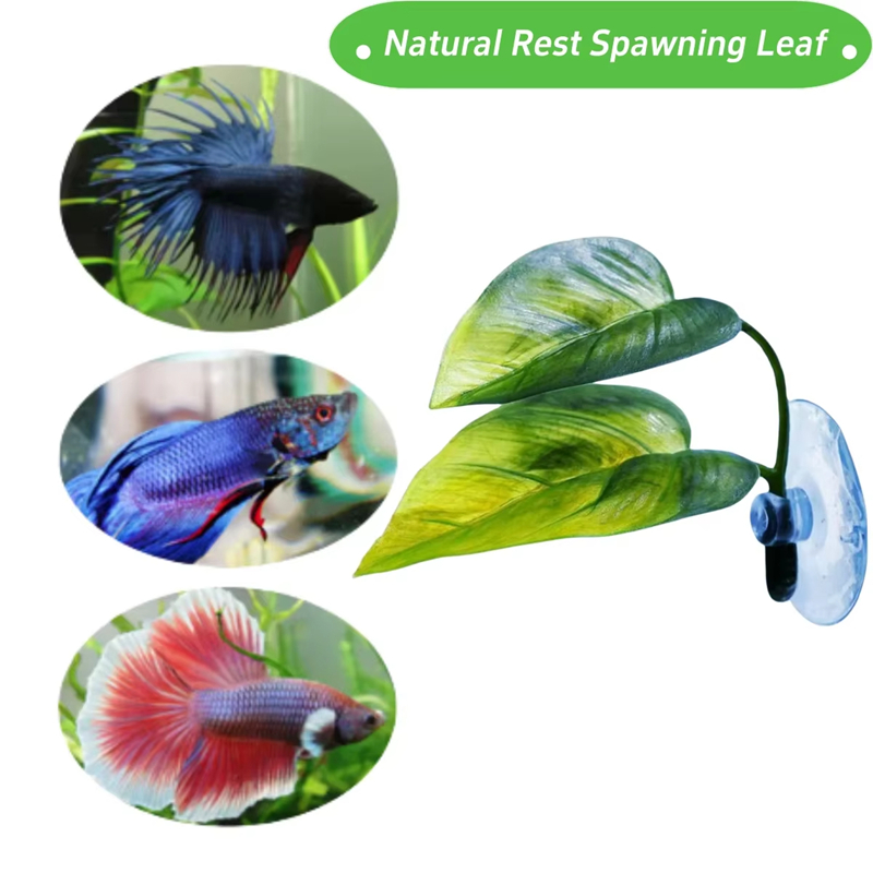 Foglia Artificiale per Pesci B - Planted Aquarium Supplies recensione e prezzo