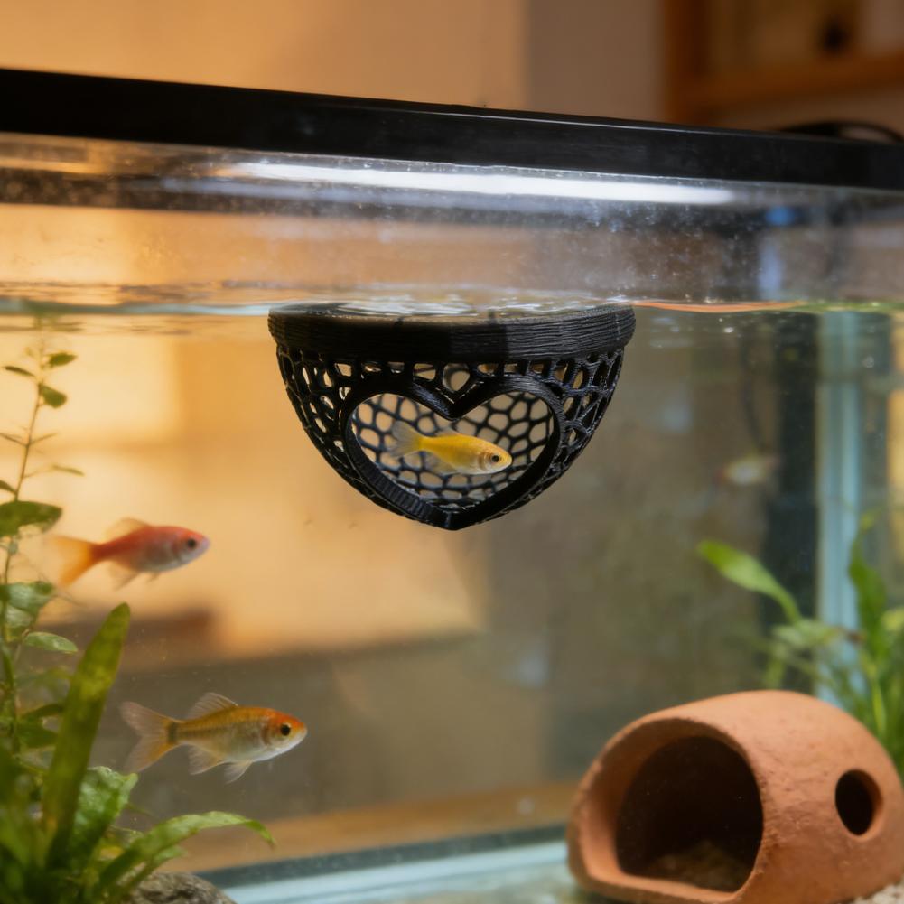 Caverna a Forma di Cuore per A - Planted Aquarium Without Fish recensione e prezzo