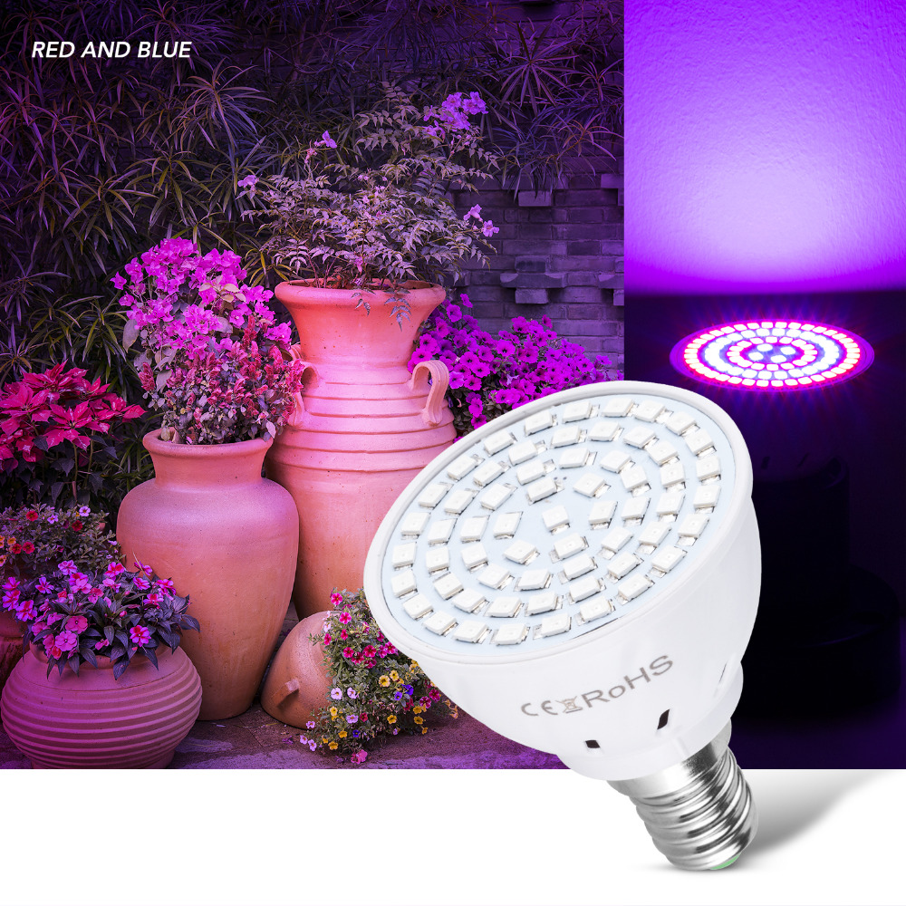 80 led 220V LED coltiva la lam - Aquarium Plant Root Tabs recensione e prezzo