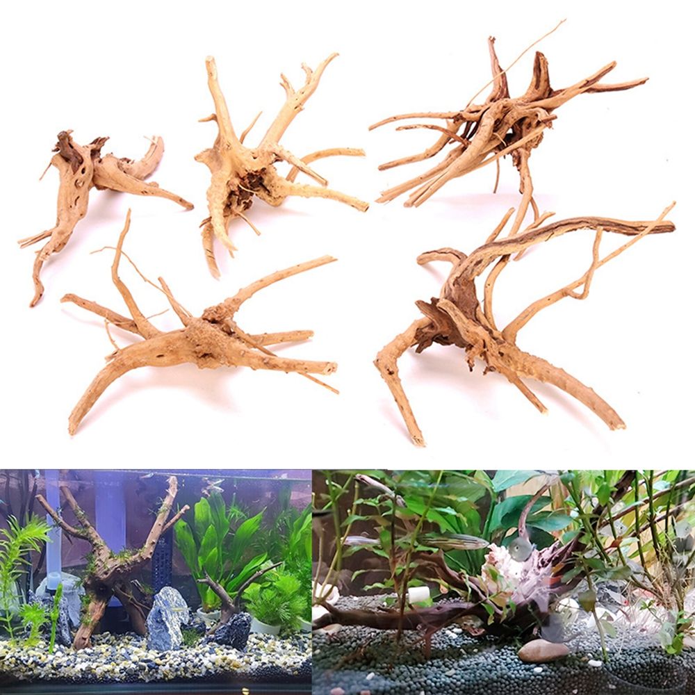 1 pz tronco di legno naturale  - Aquarium Plant Root Tabs recensione e prezzo