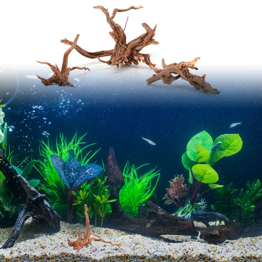 1 pz tronco di legno naturale  - Aquarium Plant Root Tabs recensione e prezzo