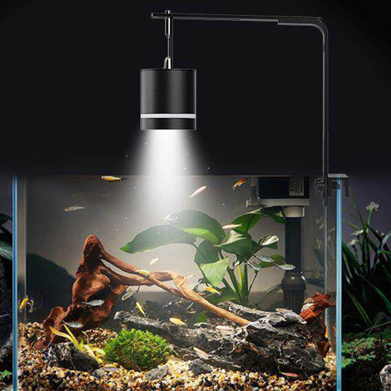 Luce per Acquario, Lampada LED - Planted Aquarium Supplies recensione e prezzo