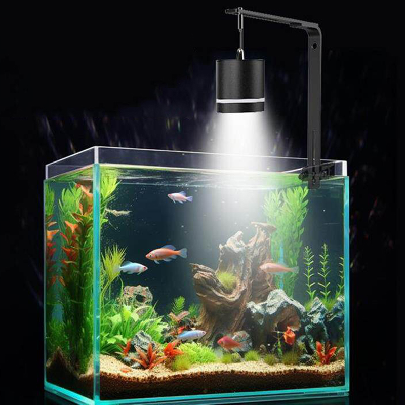 Luce per Acquario, Lampada LED - Planted Aquarium Supplies recensione e prezzo
