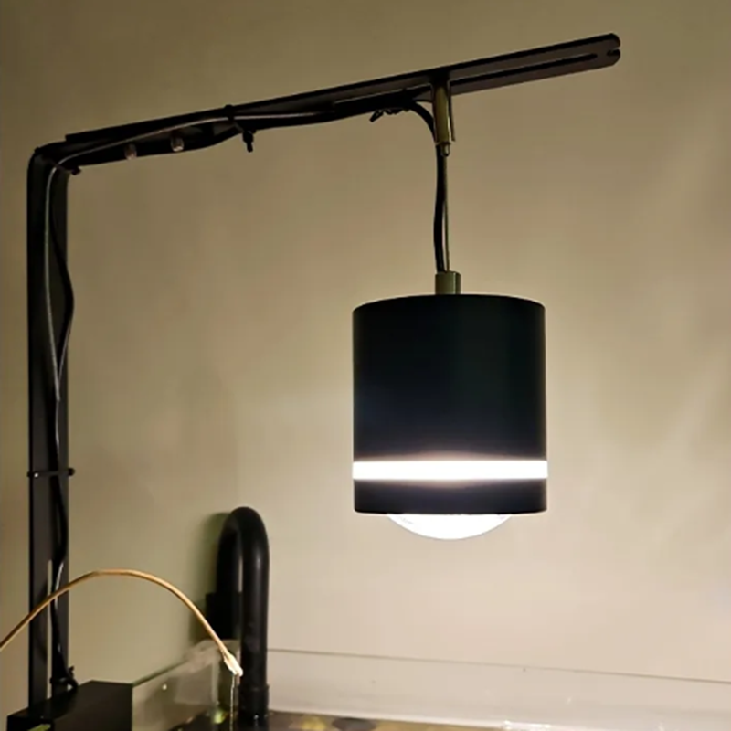 Luce per Acquario, Lampada LED - Planted Aquarium Supplies recensione e prezzo