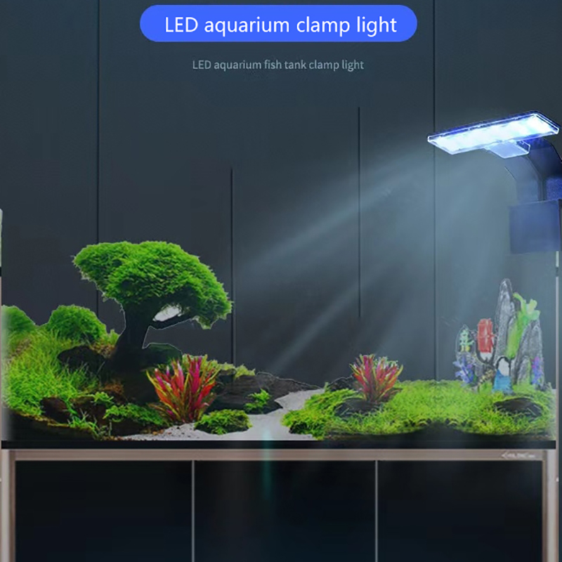 【Novità】Nuova Lampada LED Impe - Aquarium Plant Light recensione e prezzo