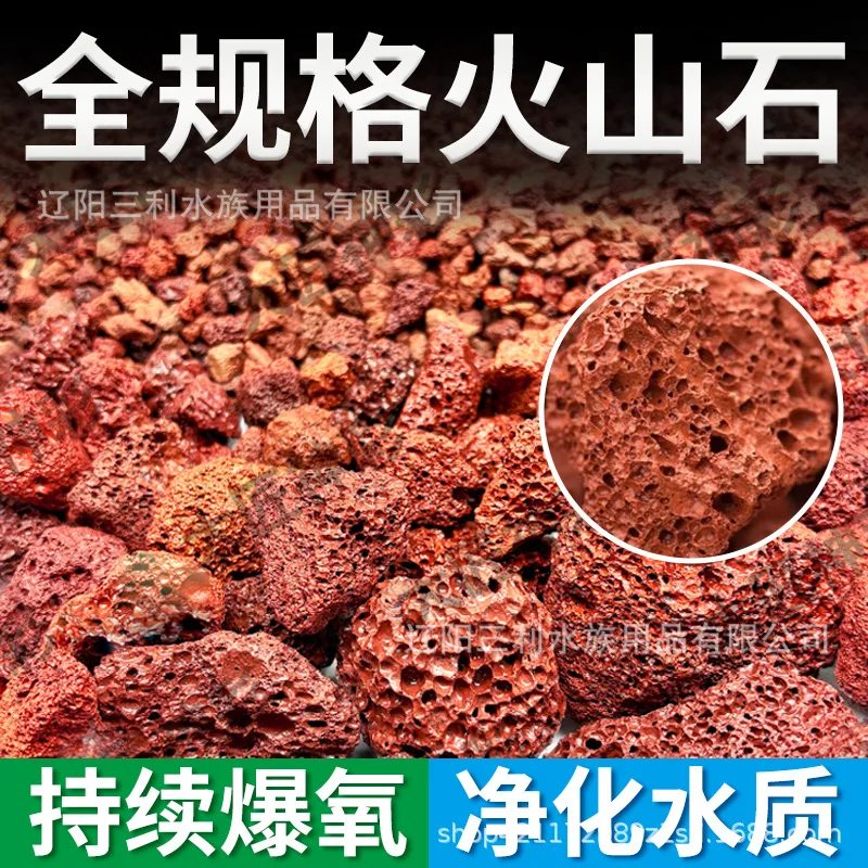 Roccia Lavica Rossa Porosa Nat - Planted Aquarium With Rocks recensione e prezzo