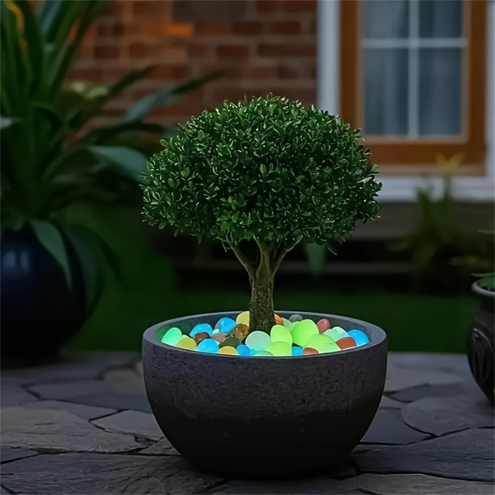 Set di 20 Pietre Decorative Lu - Planted Aquarium With Rocks recensione e prezzo