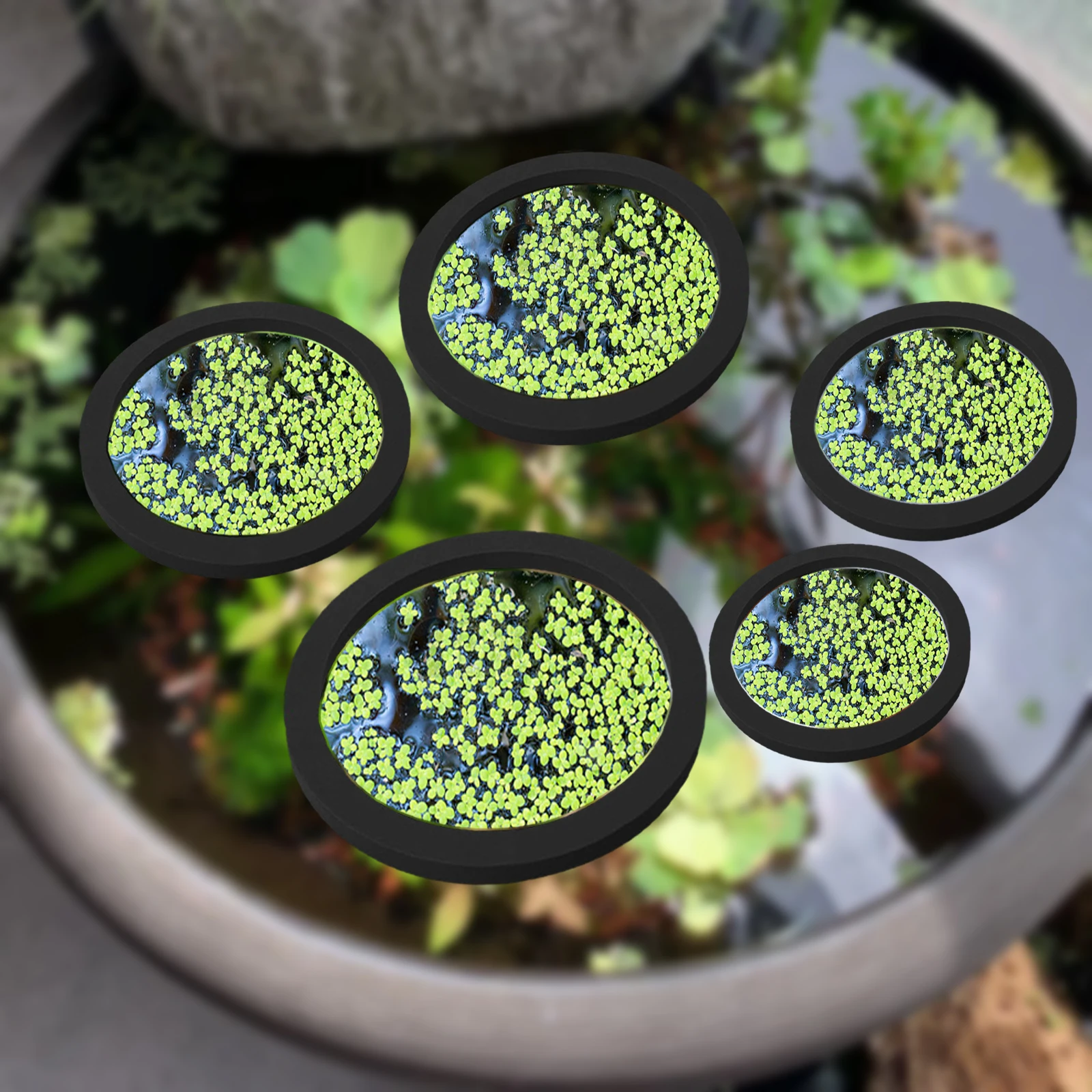 5 pz EVA Anello di Alimentazio - Planted Aquarium Supplies recensione e prezzo