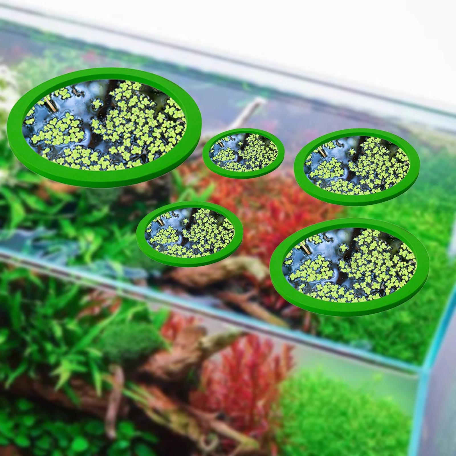 5 pz EVA Anello di Alimentazio - Planted Aquarium Supplies recensione e prezzo