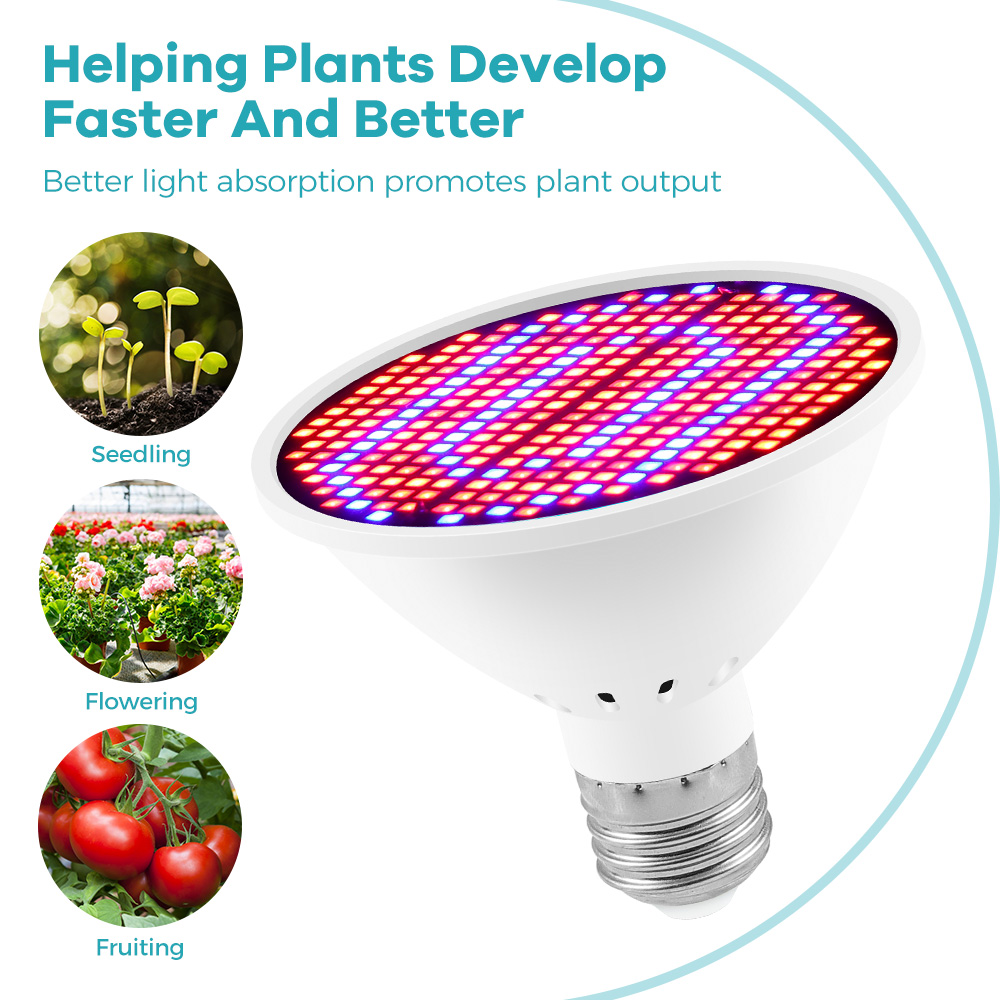 Lampada per Coltivazione 220V  - Aquarium Plant Root Tabs recensione e prezzo