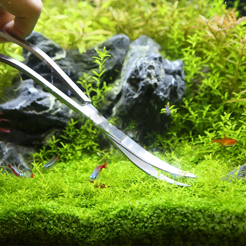 Strumenti per forbici per acqu - Planted Aquarium Tools recensione e prezzo