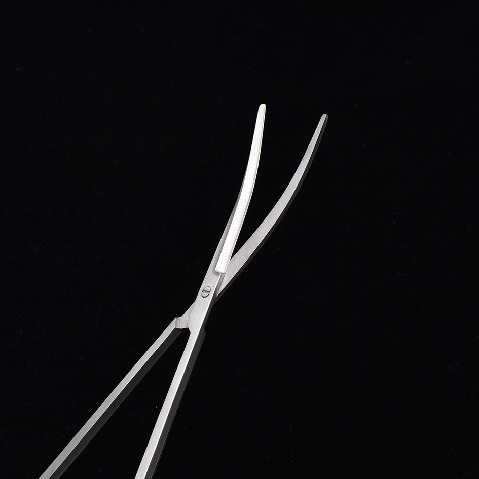25 centimetri In Acciaio Inox  - Planted Aquarium Tools recensione e prezzo