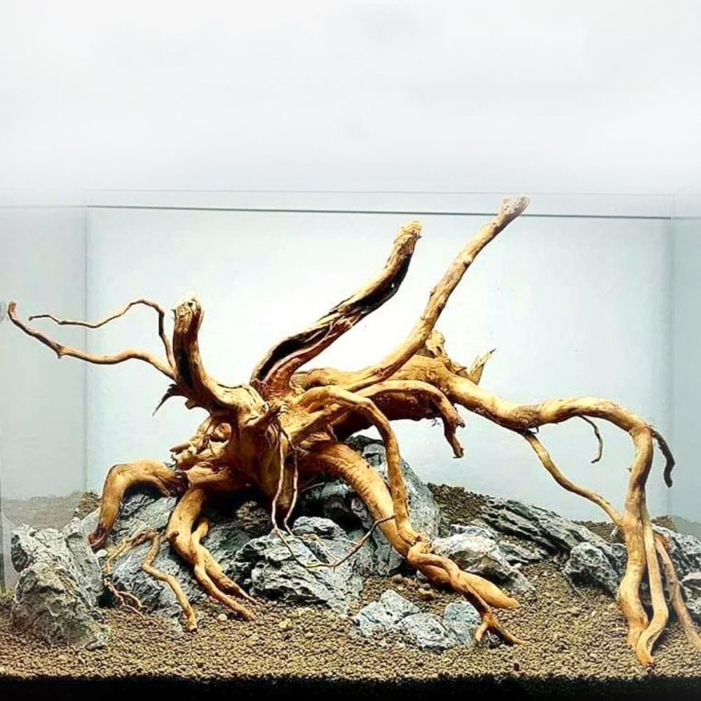 Legno Naturale per Acquario 20 - Aquarium Planted Wood recensione e prezzo