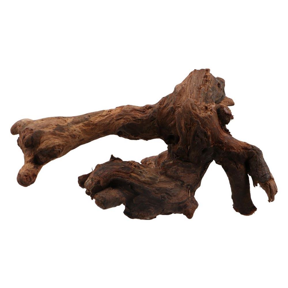 Radici di Pino Naturale a Form - Aquarium Planted Wood recensione e prezzo
