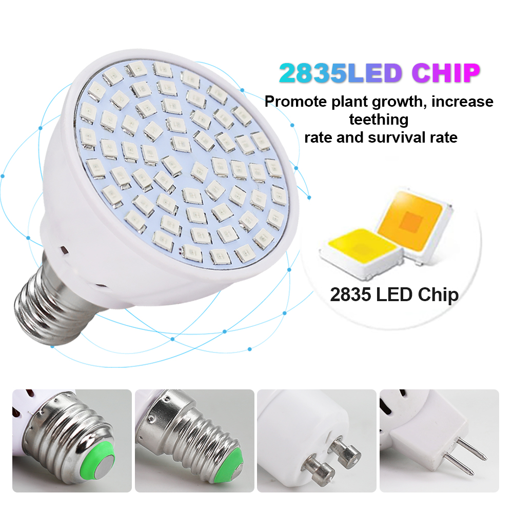 Led Coltiva La Lampadina 220V  - Aquarium Plant Root Tabs recensione e prezzo