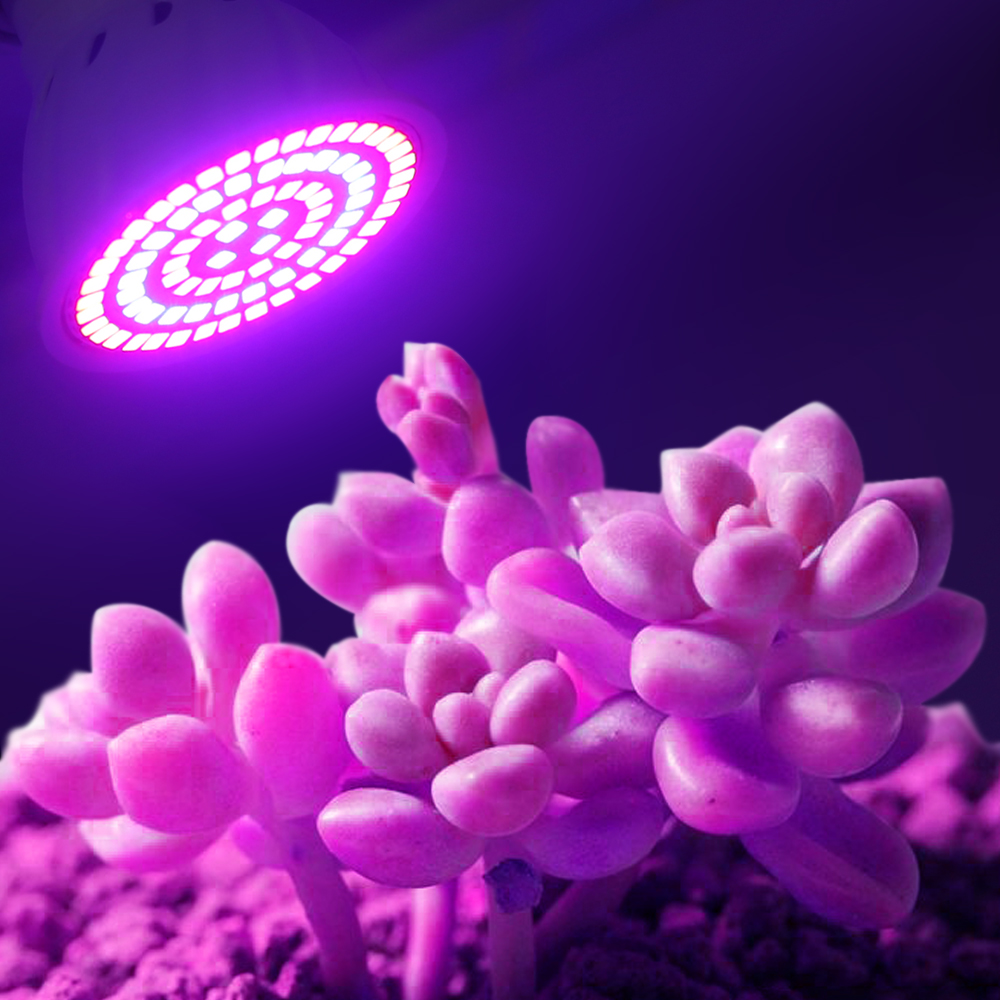 Led Coltiva La Lampadina 220V  - Aquarium Plant Root Tabs recensione e prezzo