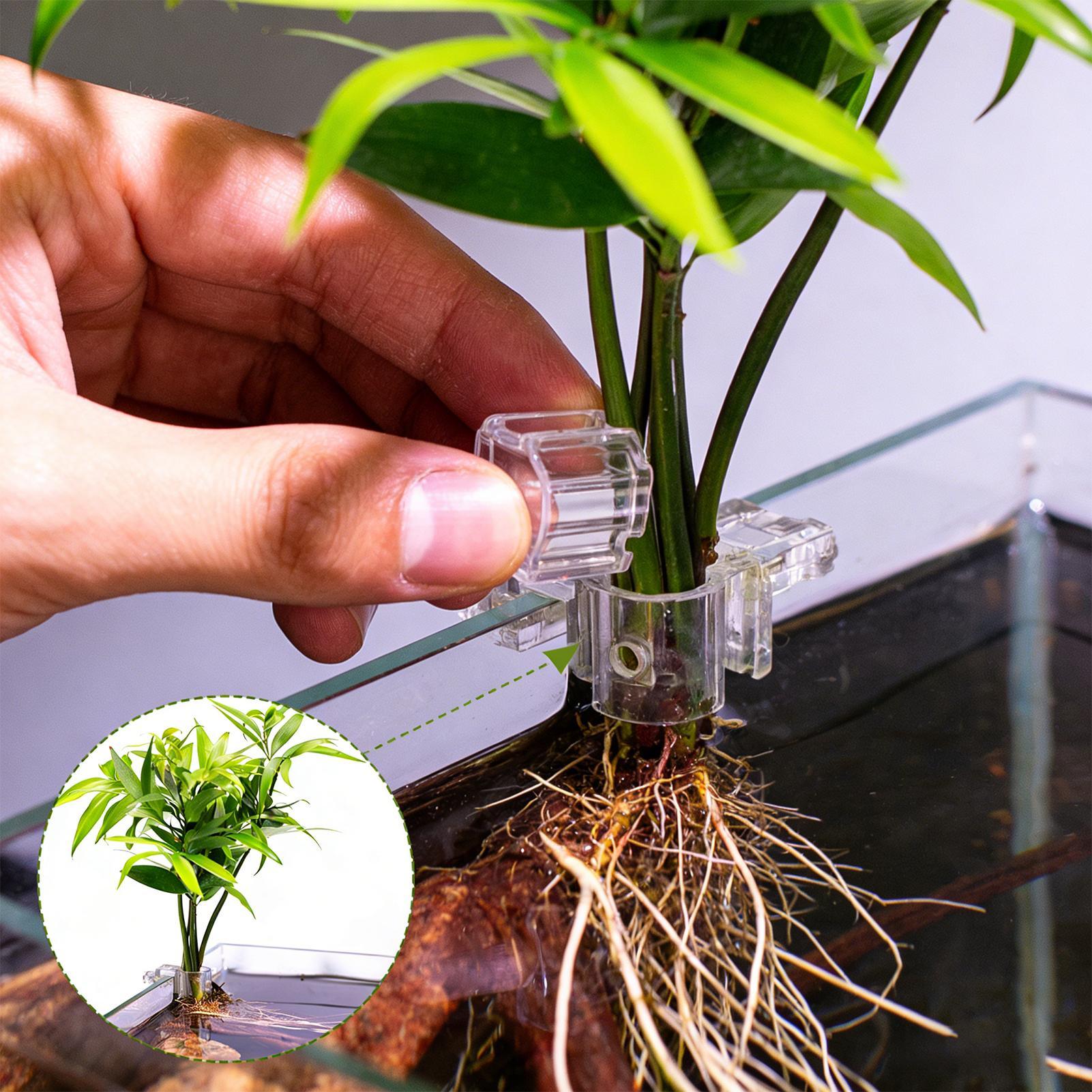 Set di 6 Supporti Trasparenti  - Planted Aquarium Supplies recensione e prezzo