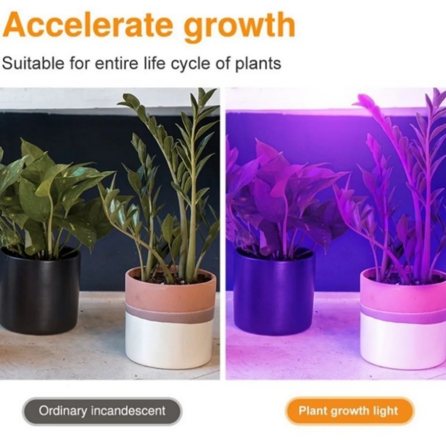 2 pezzi LED coltiva lampadina  - Aquarium Plant Root Tabs recensione e prezzo