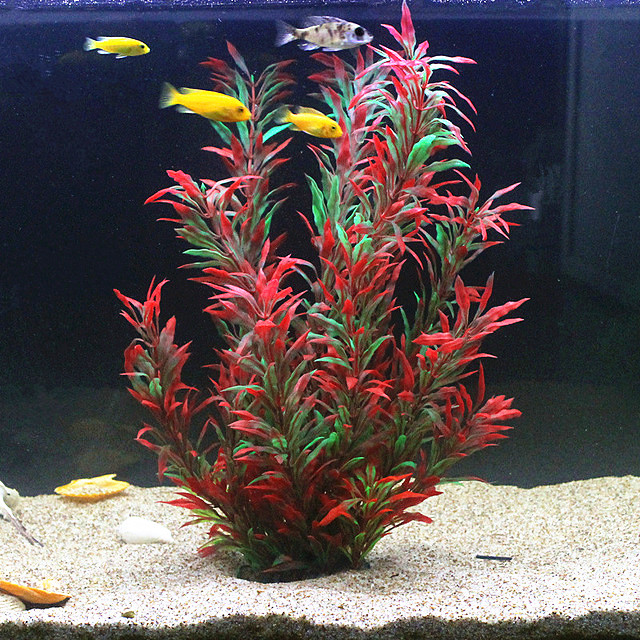50CM Acquario artificiale Pian - Planted Aquarium Equipment recensione e prezzo