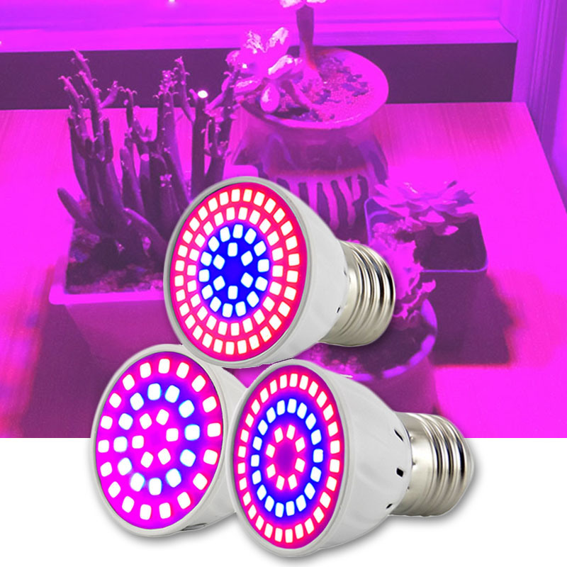 2/3 Testa LED Pianta Coltiva L - Aquarium Plant Root Tabs recensione e prezzo