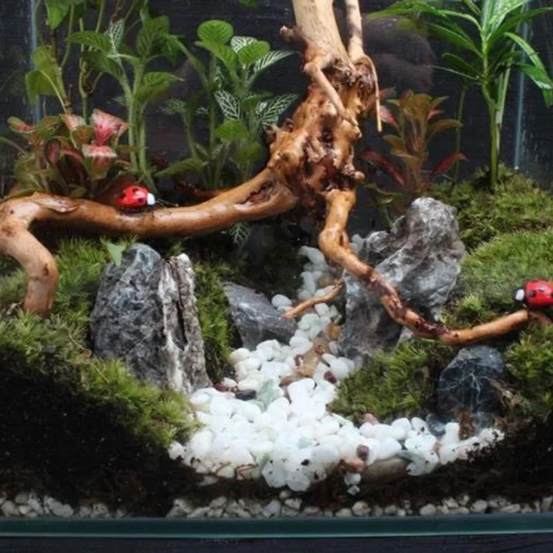 Tronco d'albero naturale Drift - Aquarium Plant Root Tabs recensione e prezzo