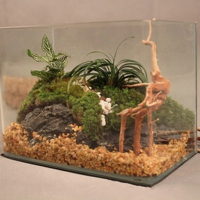 Tronco d'albero naturale Drift - Aquarium Plant Root Tabs recensione e prezzo