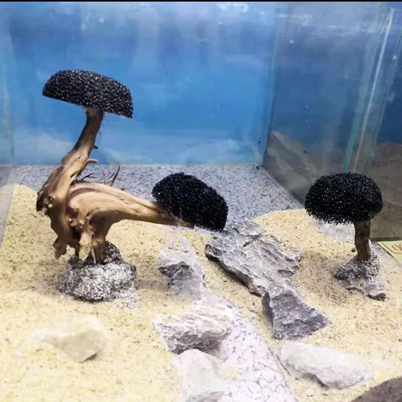 Pianta per acquario Muschio De - Planted Aquarium Without Fish recensione e prezzo