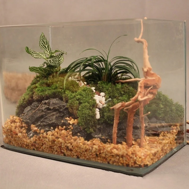 Tronco di albero naturale Drif - Aquarium Plant Root Tabs recensione e prezzo