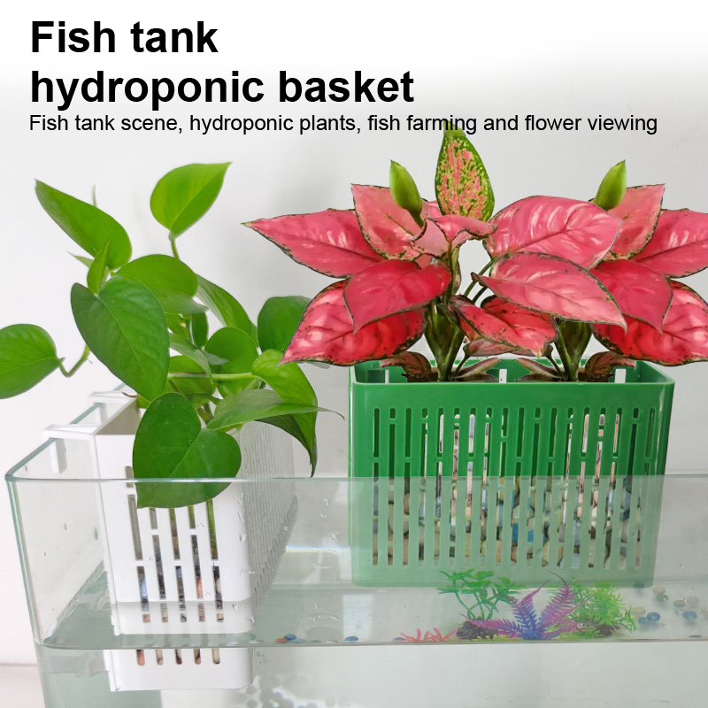 【F】Porta-piante sospeso per ac - Planted Aquarium Supplies recensione e prezzo